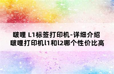 pooli/啵哩 L1标签打印机-详细介绍 啵哩打印机l1和l2哪个性价比高